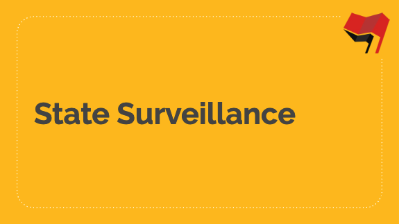 State Surveillance Slides