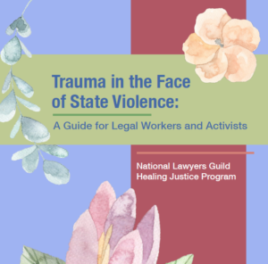 Trauma in the Face of State Violence: Guide for Legal Works and Activists